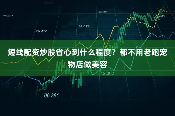 短线配资炒股省心到什么程度？都不用老跑宠物店做美容