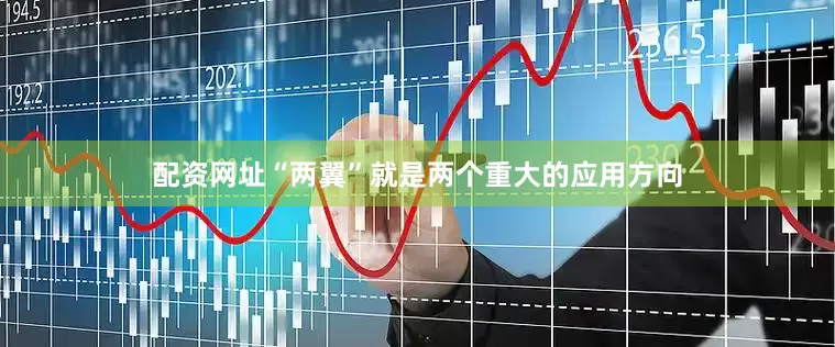 配资网址“两翼”就是两个重大的应用方向
