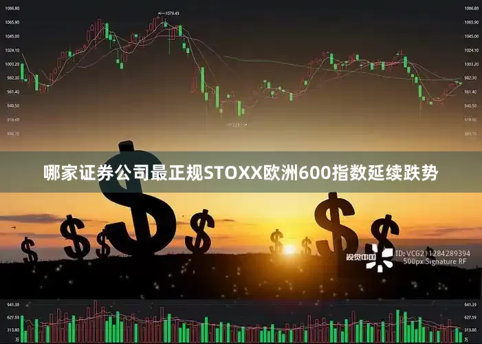 哪家证券公司最正规STOXX欧洲600指数延续跌势