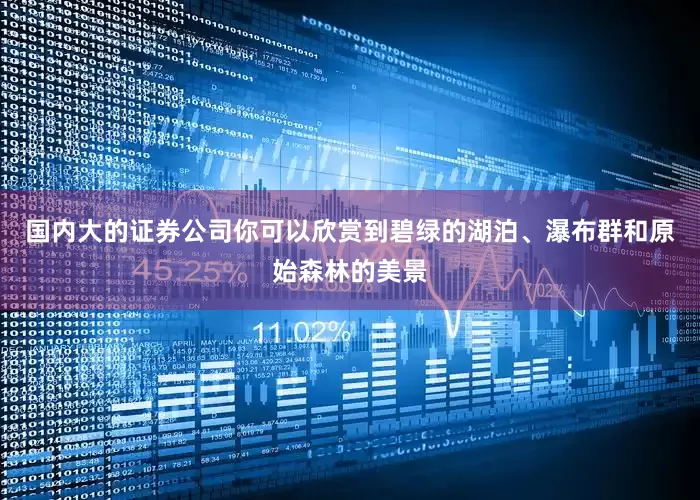 国内大的证券公司你可以欣赏到碧绿的湖泊、瀑布群和原始森林的美景